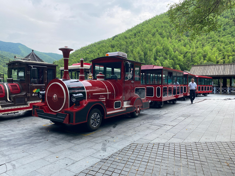 定制景區(qū)電動小火車 定制景區(qū)電動小火車